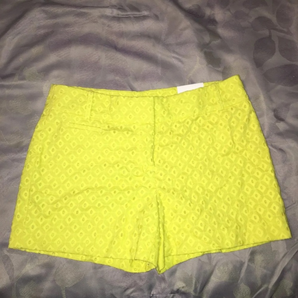 Ann Taylor Loft Riviera Shorts